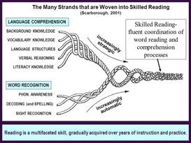 Skilled Reading Language Comprehension Word Recognition