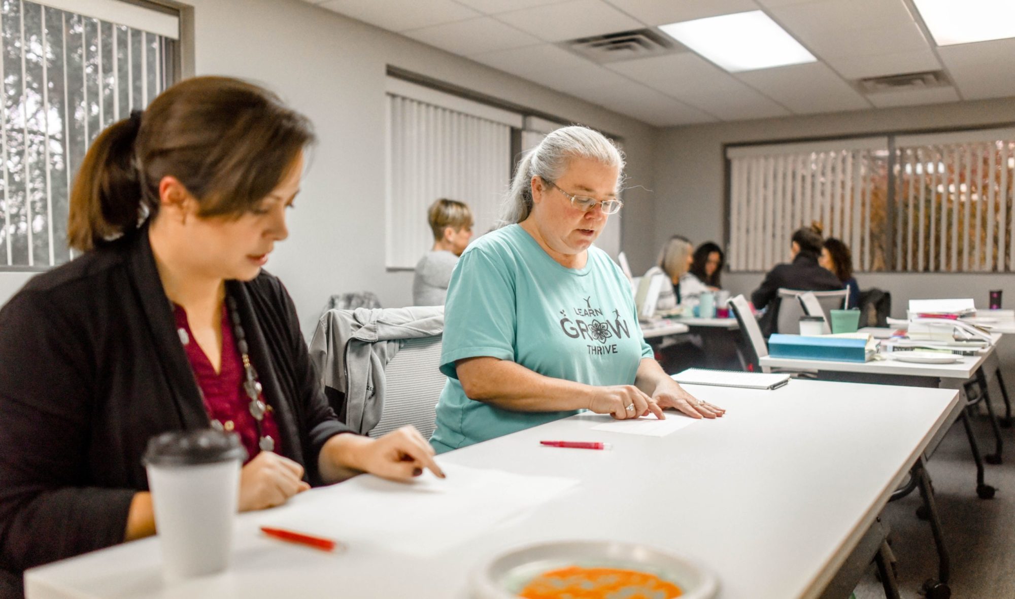 Bergen Meadow Primary School Sees Literacy Results with IMSE